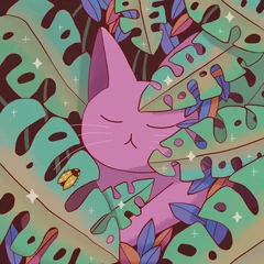Cat Nap album cover by Purrple Cat